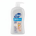 Dial Kids All-in-One Wash Sealed
